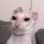 JOuJ