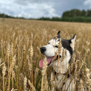 420 𝖘𝖙𝖊𝖓 𝓑äää