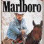 Smoke Marlboros