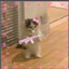 NobodyCares-