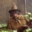 Pomona Sprout