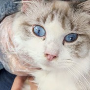 定时吃鬼-准时回家