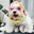 cookielover433