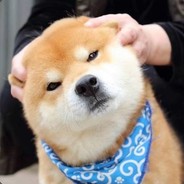 来包华子