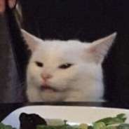 (っ◔◡◔)っ Lauchi