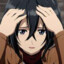 Mikasa
