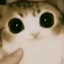 Nosk