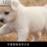 你别急，让我先急