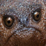 Осквиртитель