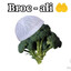 Broc-Ali