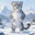 DiamanD-