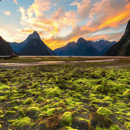 想变成小电冲进妹妹的哨兵里