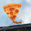 Ants Eat Pizza