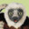 Zobomafoo