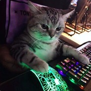 Tnc Yact