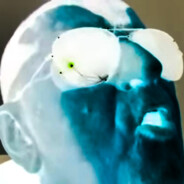 flacula drow
