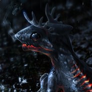 IBlazeI