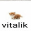 Виталик пиздализ