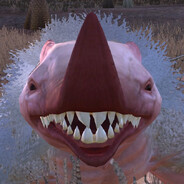 Player Avatar