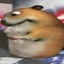 SADRANGER
