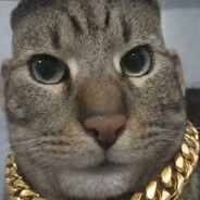 Dwei