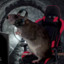 Rat Gaming