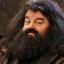 The Real Hagrid