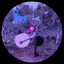 Avatar of Ninca andadão que anda e sonha