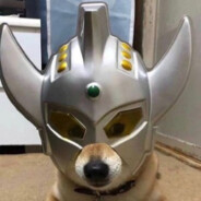 吃饱喝足去逃避