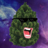 CHIMIII24og