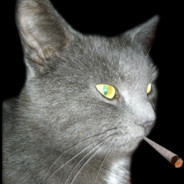 गौतमबुद्ध