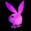 ★SEXYBUNNY★