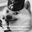 Doge Vandire