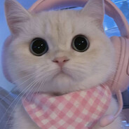 ♡миу♡миу♡