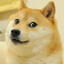 DotDogori's avatar