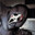 GhosT_Hollow0690