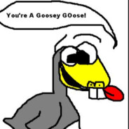 BINGUSSY