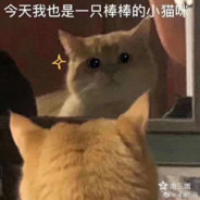 是山花不是三花