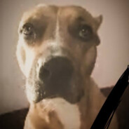 Ярополк Землерез