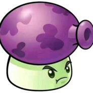 🟣🟣🟣🟣🟣🟣🟣🟣