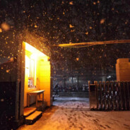 无敌萌萌哒小牛