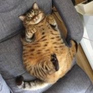 Chonk - steam id 76561197970688910