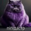 Піпідастр