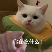 一脚踹飞你的锅......巴