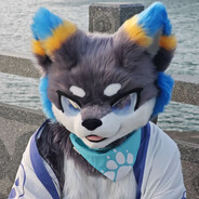 C9的shroud本人
