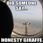honestyGiraffe