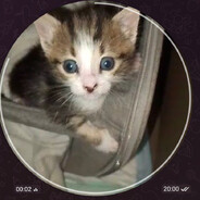 watashi's avatar