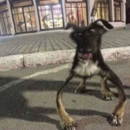 TITAN закреп Лоу таб