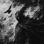 dhomini598 CSGOSKINS