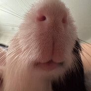 Настя Шматова